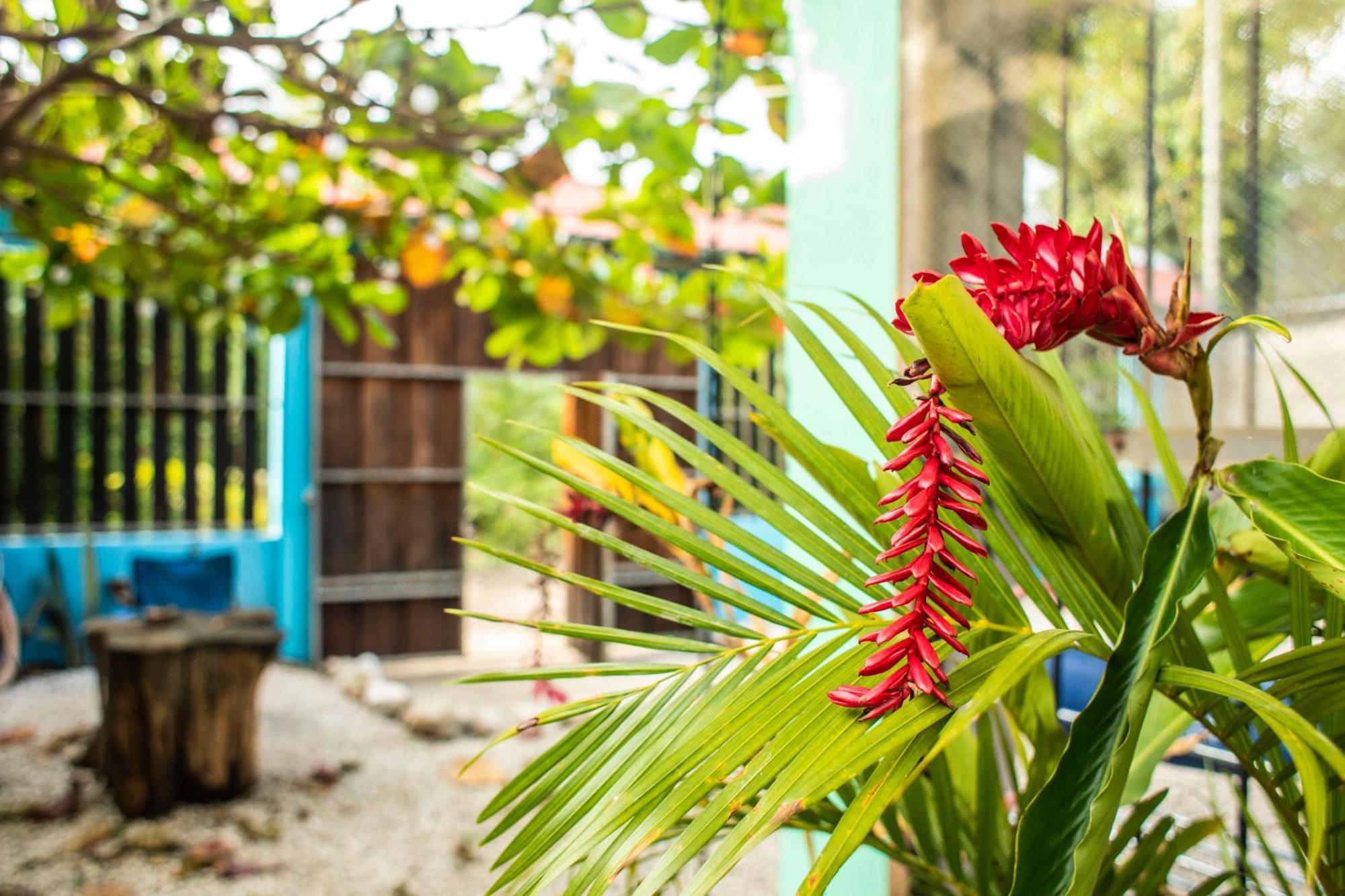 Argdivan Beach Hostel Sámara Екстериор снимка